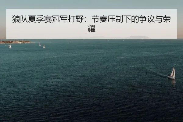 狼队夏季赛冠军打野：节奏压制下的争议与荣耀